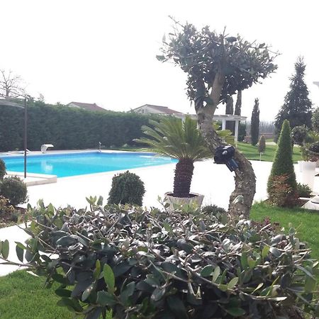 Villa Agriturismo Sant' Isidoro Anagni Exterior foto